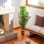 Corallo - Free Wifi - 1km From The Villa Villasimius